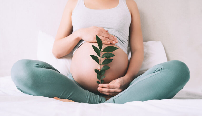 1 Mother's Path Fertility Program